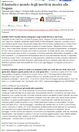 Varesenews del 25 marzo 2014